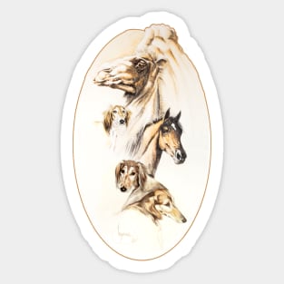 Camel, Arabian horse and Saluki. Sticker